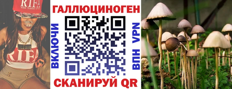 Галлюциногенные грибы Psilocybine cubensis  Бабаево 